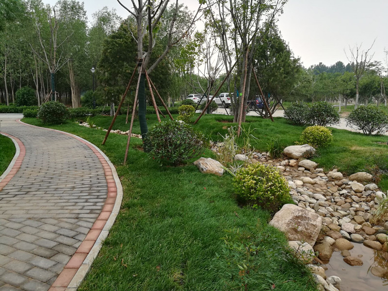 濟南市玉符河綜合治理工程生態林帶綠化七標段